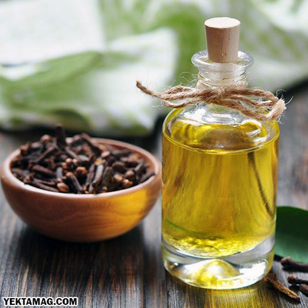 خواص روغن میخک در طب سنتی 